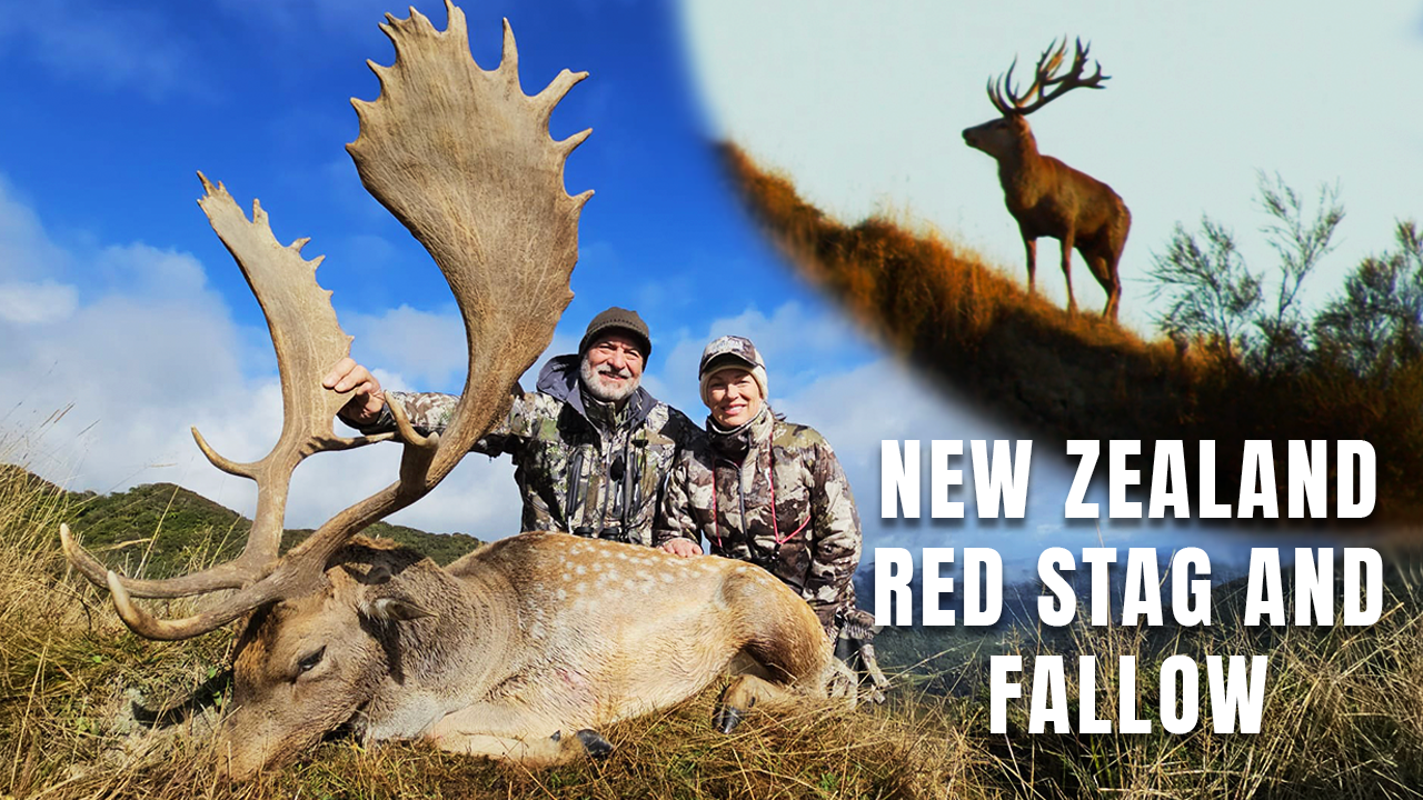 New Zealand Red Stag and Fallow — The High Road with Keith